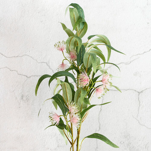 Flowering Gum Spray Pink 80cm