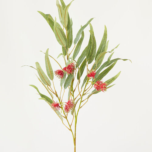 Flowering Gum Spray Red 80cm