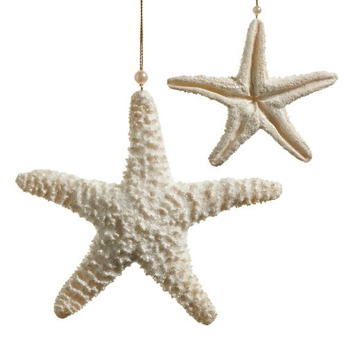 Ivory Starfish 15cm