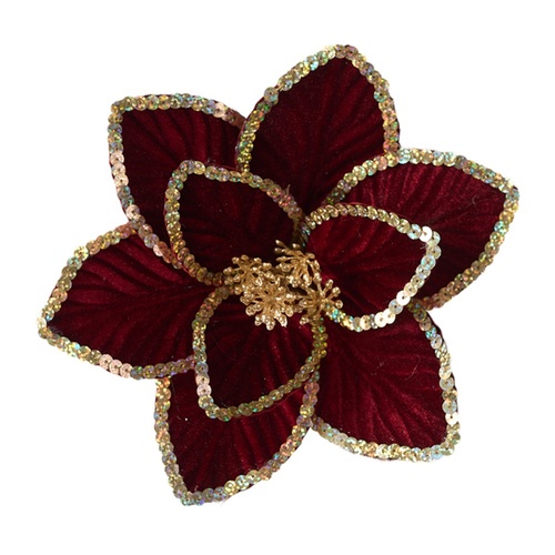 Burgundy Poinsettia w. Gold Edge