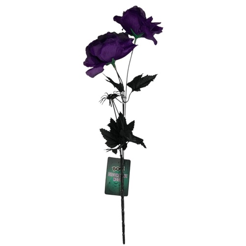 Cat Eye Rose Purple 