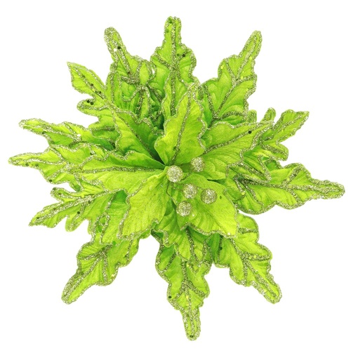 Green Jagged Edge Poinsettia 28cm