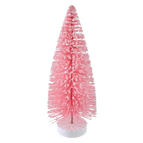 Pink Bristle Tree 20cm