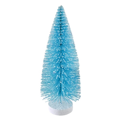 Blue Bristle Tree 20cm