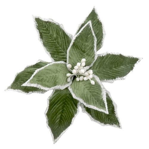 Sage Poinsettia w. White Edge 32cm
