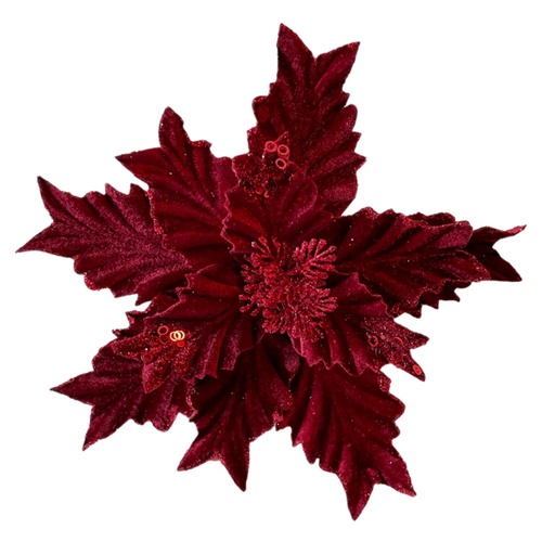 Burgundy Jagged Edge Poinsettia 30cm
