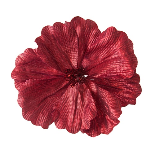 Shiny Burgundy Magnolia 22cm