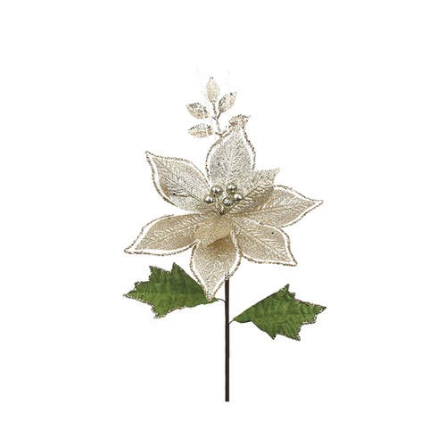 Champagne Poinsettia w. Leaves 22cm