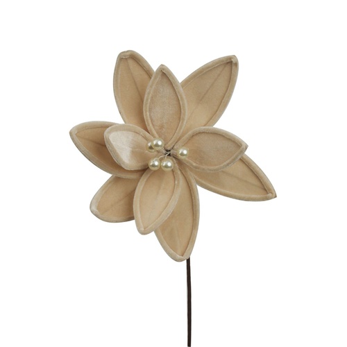 Champagne Velour Poinsettia 28cm