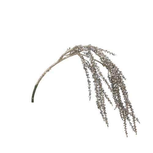Champagne Weeping Willow Stem 79cm
