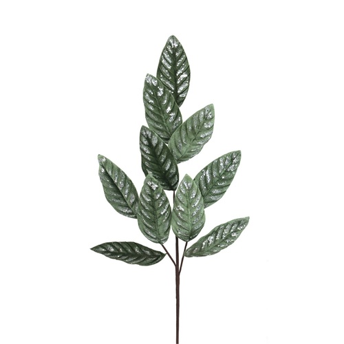 Sage Velvet Stem 78cm