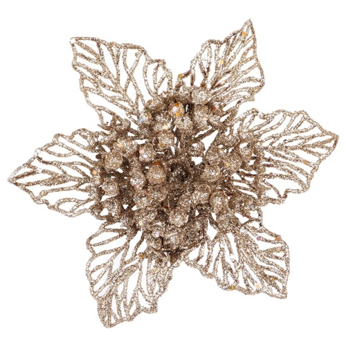 Champagne Skeleton Poinsettia 18cm