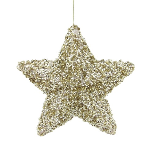 Five Point Sequin Star Champagne 29cm
