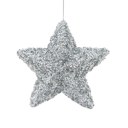 Five Point Sequin Star Silver 29cm