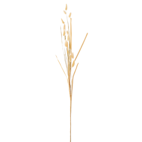 Foxtail Spray Cream 84cm