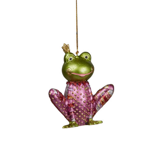 Frog in Pink Clothes Hanging