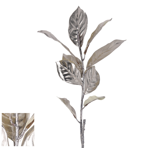 Magnolia Stem Champagne 64cm