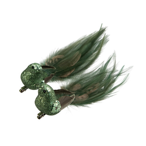 Bird Sage Green 1pc 2 Assorted Clip On 18cm