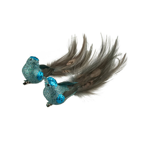Bird Teal Peacock 1pc 2 Assorted Clip On 18cm