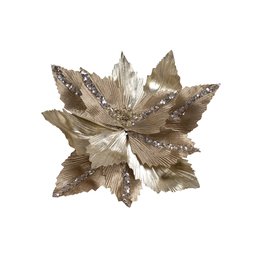 Poinsettia Antique Champagne Clip On 28cm