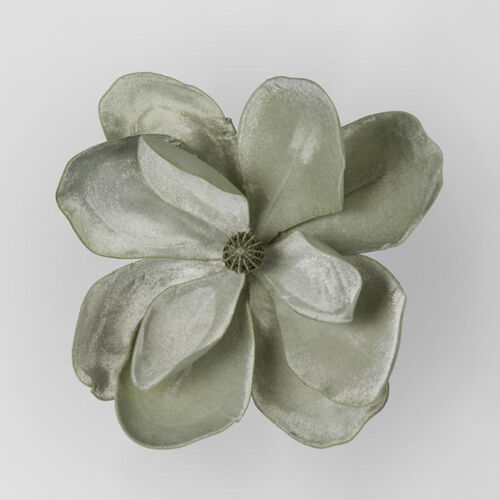 Grandiflora Velvet Magnolia Flower Green
