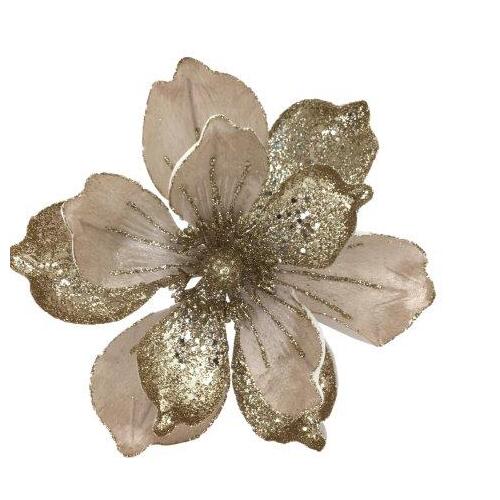 Champagne Magnolia 24cm