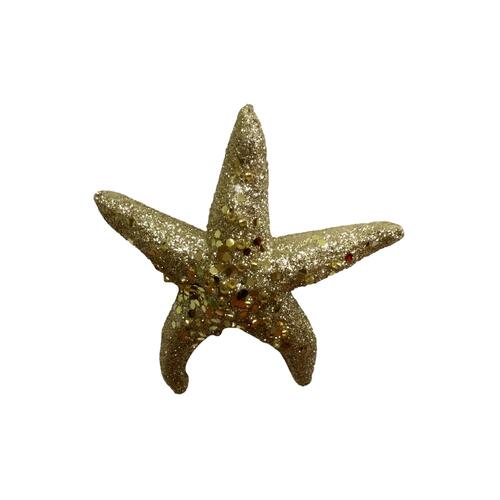 Starfish Champagne 11cm