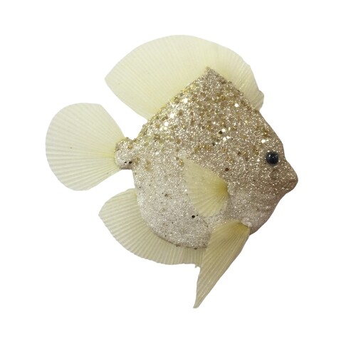 Fish Champagne 20cm
