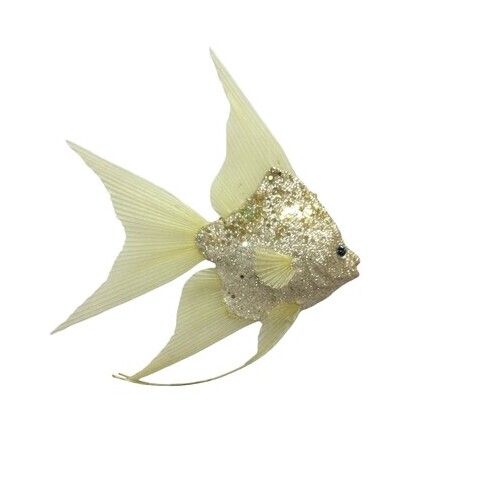 Fish Champagne 18cm