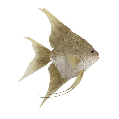 Fish Champagne 40cm