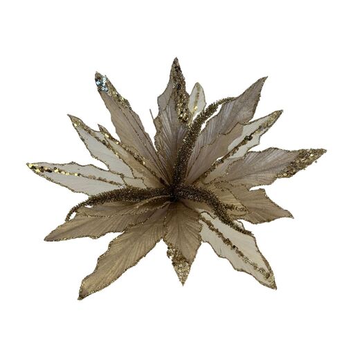 Champagne Glitter Poinsettia 36cm