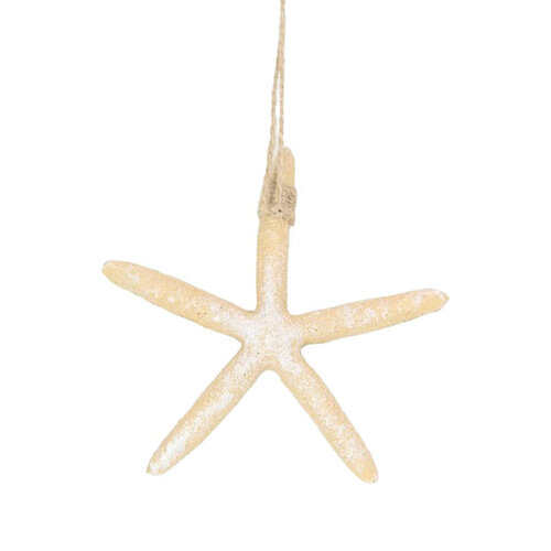 Starfish Hanging Sand 12cm