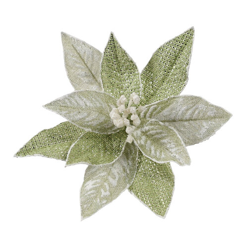 Clip Poinsettia Spearmint White 26cm