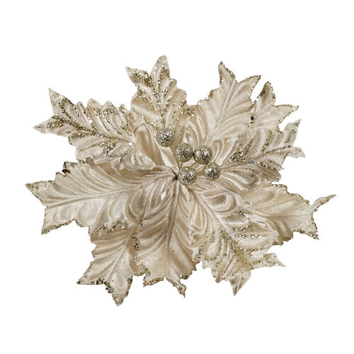 Poinsettia Crinkle Champagne Clip On 6cm
