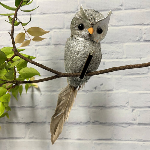 Owl Natural Champagne Silver 16cm