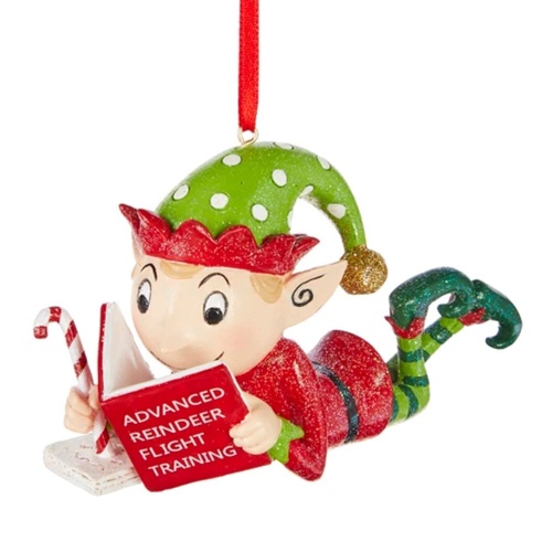 Studying Elf Ornament 10cm