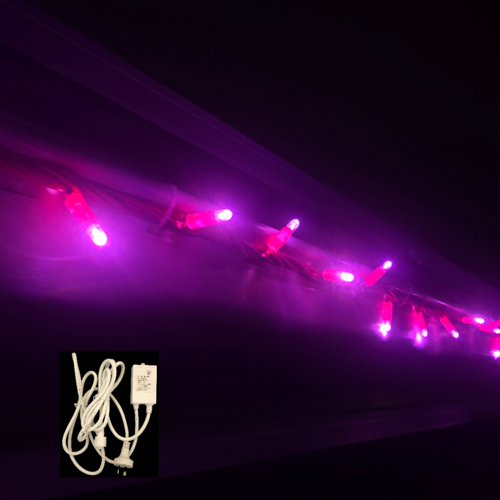 String Lights PINK 10m + Controller