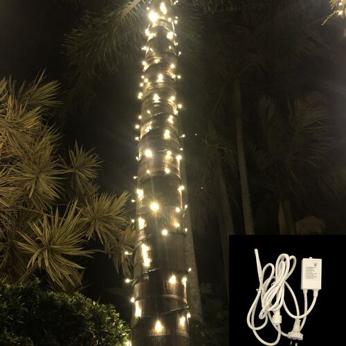 String Lights WARM WHITE 10m Green Wire + Controller
